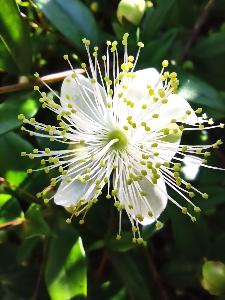 Il nostro giardino
