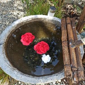 Fontana zen